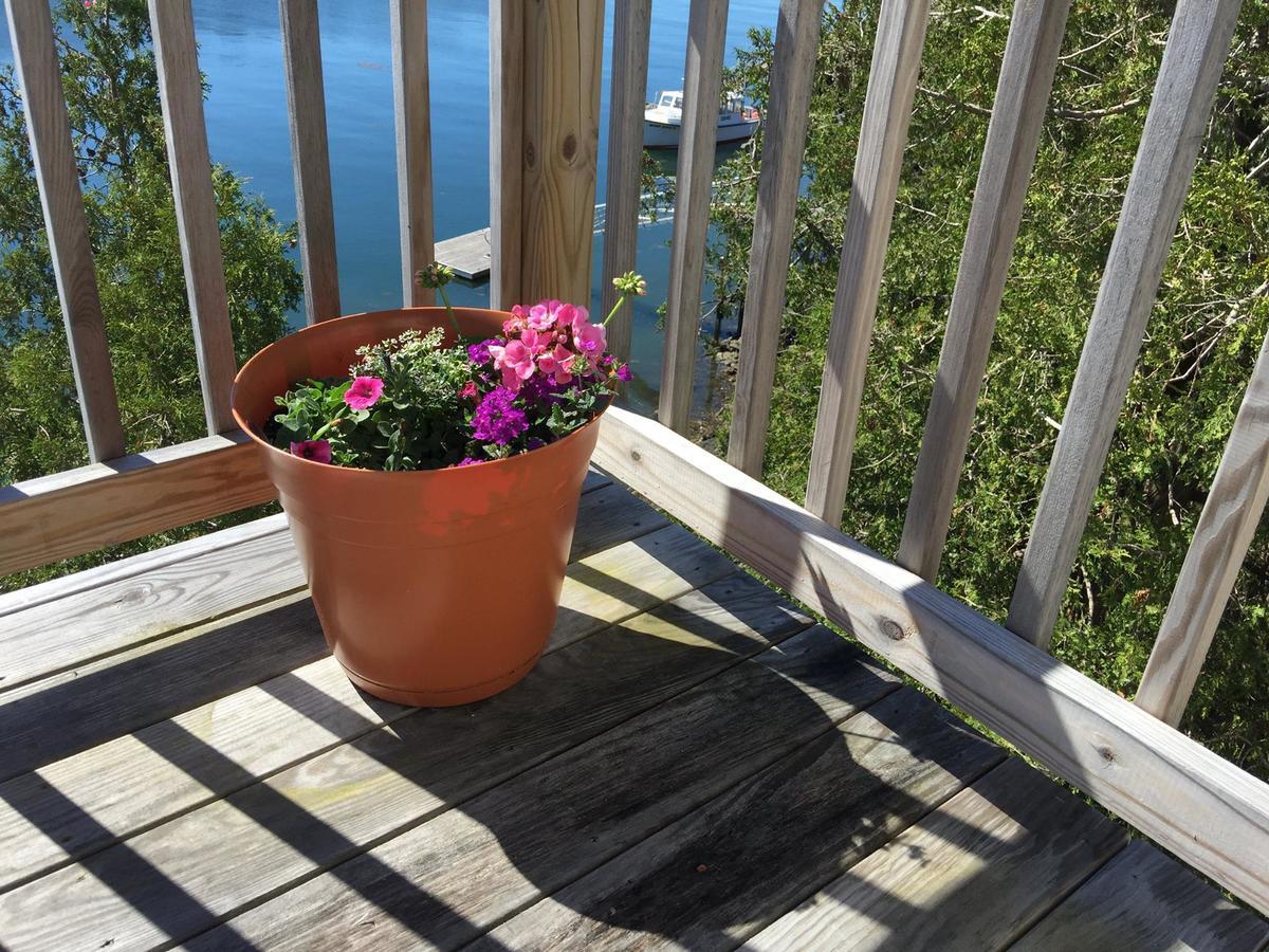 Quahog Bay Inn Harpswell Ngoại thất bức ảnh